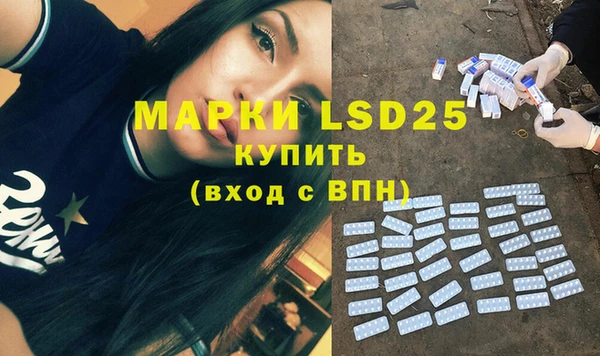 мдпв Елабуга