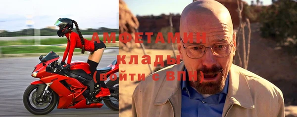 трава Сураж