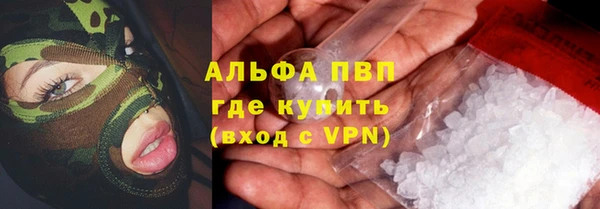 мдпв Елабуга