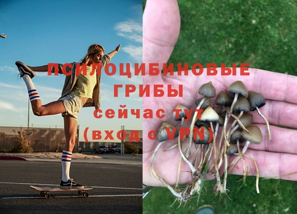 MESCALINE Елизово