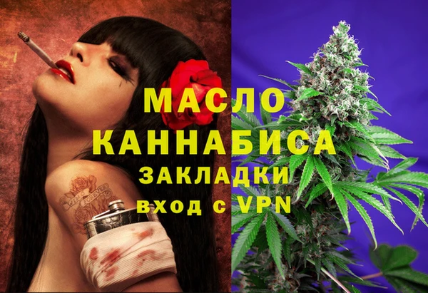 мдпв Елабуга
