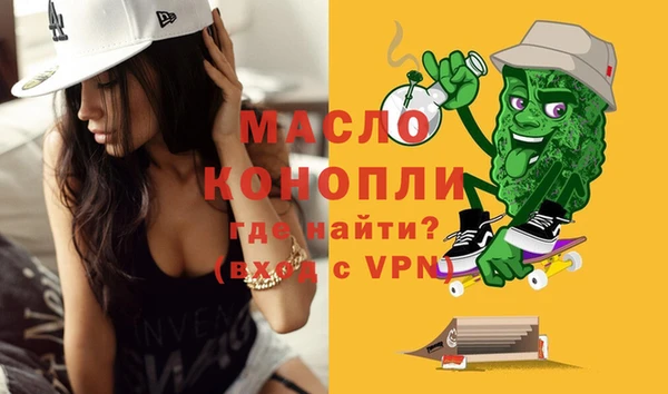 мдпв Елабуга